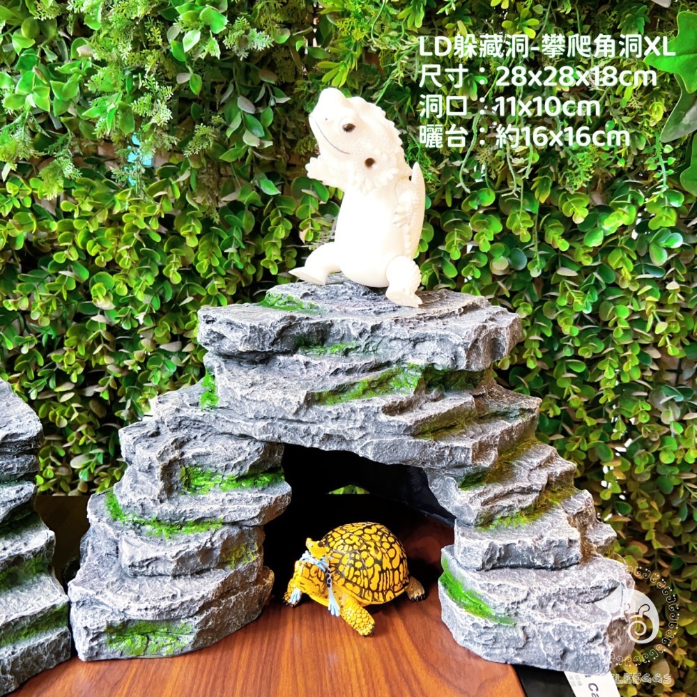 蛋叔叔-LD-躲藏洞-攀爬岩洞/角落型/曬台/爬台/守宮洞/守宮屋/烏龜島/蛇洞/角落洞穴/肥尾守宮/玉米蛇/藍舌蜥-規格圖11