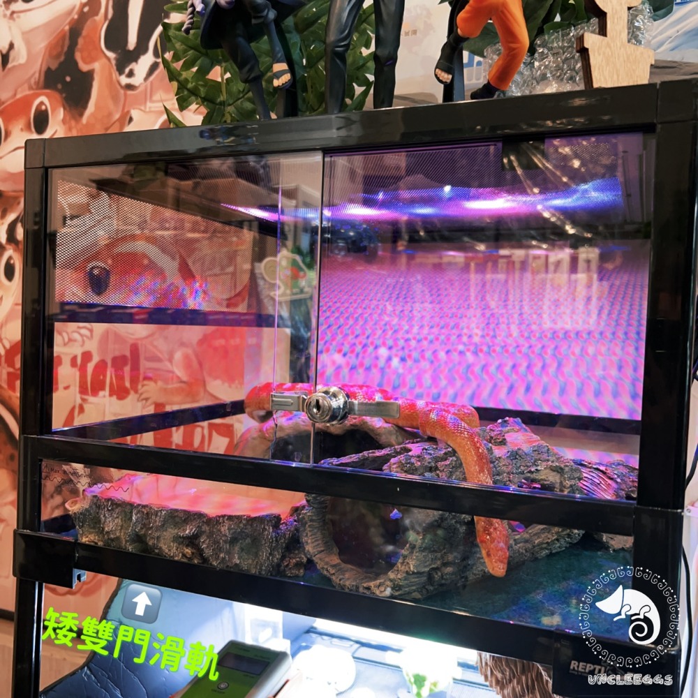 蛋叔叔【免運費】REPTIZOO-玻璃爬蟲箱60cm(高缸)/ARK0207/ARK0107/爬蟲缸/爬缸/陸龜/鬆獅-規格圖7