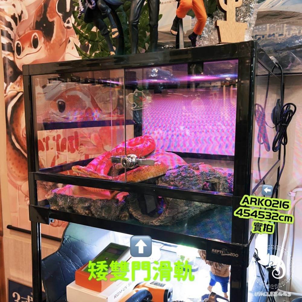 蛋叔叔【免運費】REPTIZOO-玻璃爬蟲箱45cm/ARK0116S/ARK0216/矮單門/矮滑軌/爬蟲缸/寵物箱-細節圖3