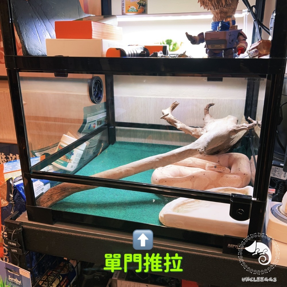 蛋叔叔【免運費】REPTIZOO-玻璃爬蟲箱45cm/ARK0116S/ARK0216/矮單門/矮滑軌/爬蟲缸/寵物箱-規格圖9