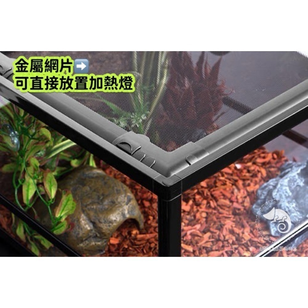 蛋叔叔-REPTIZOO玻璃爬蟲缸/矮缸/高缸/沙漠缸/雨林缸/DIY/可堆疊/爬蟲箱/寵物箱/爬缸/造景缸-細節圖2