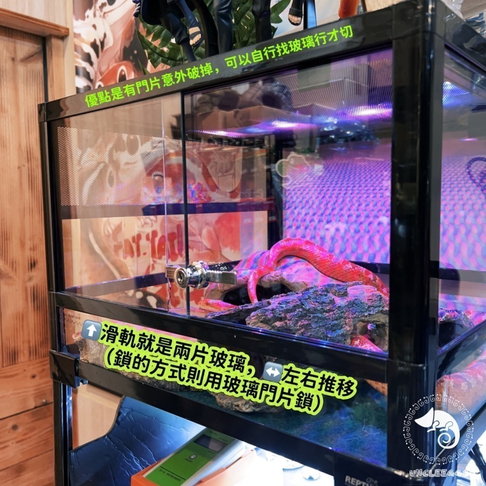 蛋叔叔-REPTIZOO玻璃爬蟲缸/矮缸/高缸/沙漠缸/雨林缸/DIY/可堆疊/爬蟲箱/寵物箱/爬缸/造景缸-細節圖8