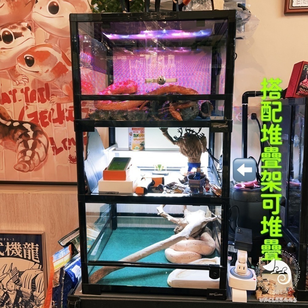 蛋叔叔-REPTIZOO玻璃爬蟲缸/矮缸/高缸/沙漠缸/雨林缸/DIY/可堆疊/爬蟲箱/寵物箱/爬缸/造景缸-細節圖9