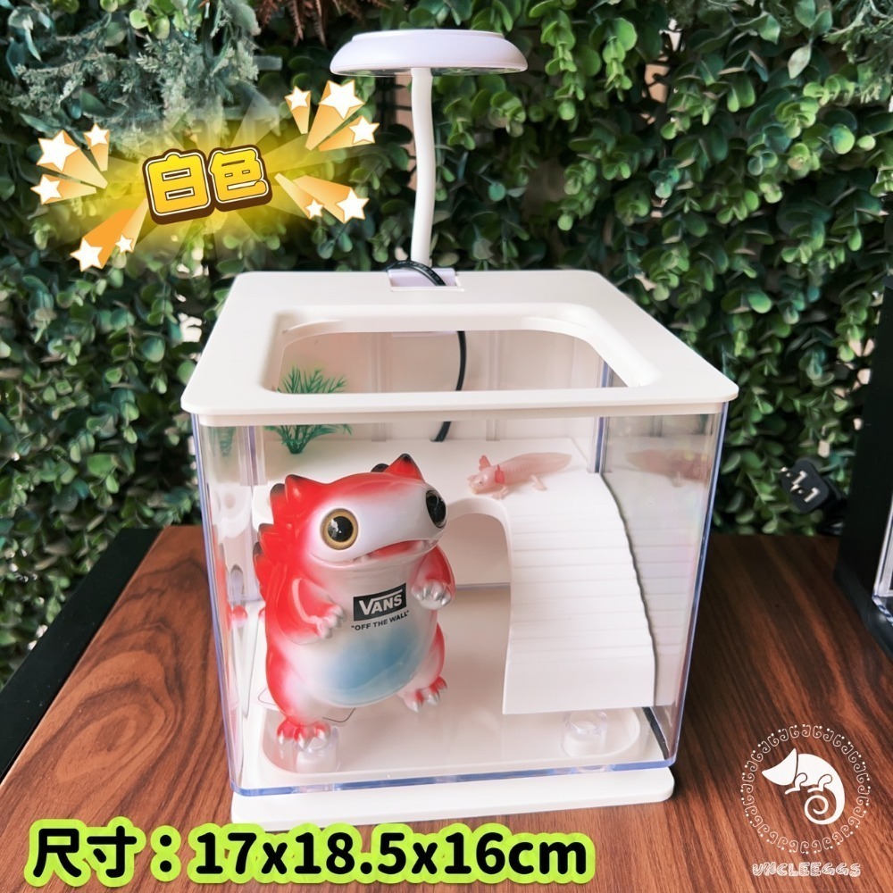 蛋叔叔-小螃蟹-懶人烏龜缸/風水缸/招財缸/擋煞缸/新手缸/角蛙缸/蠑螈缸/兩棲缸/鬥魚缸/螯蝦/蛋龜/幼龜/麝香龜-規格圖11