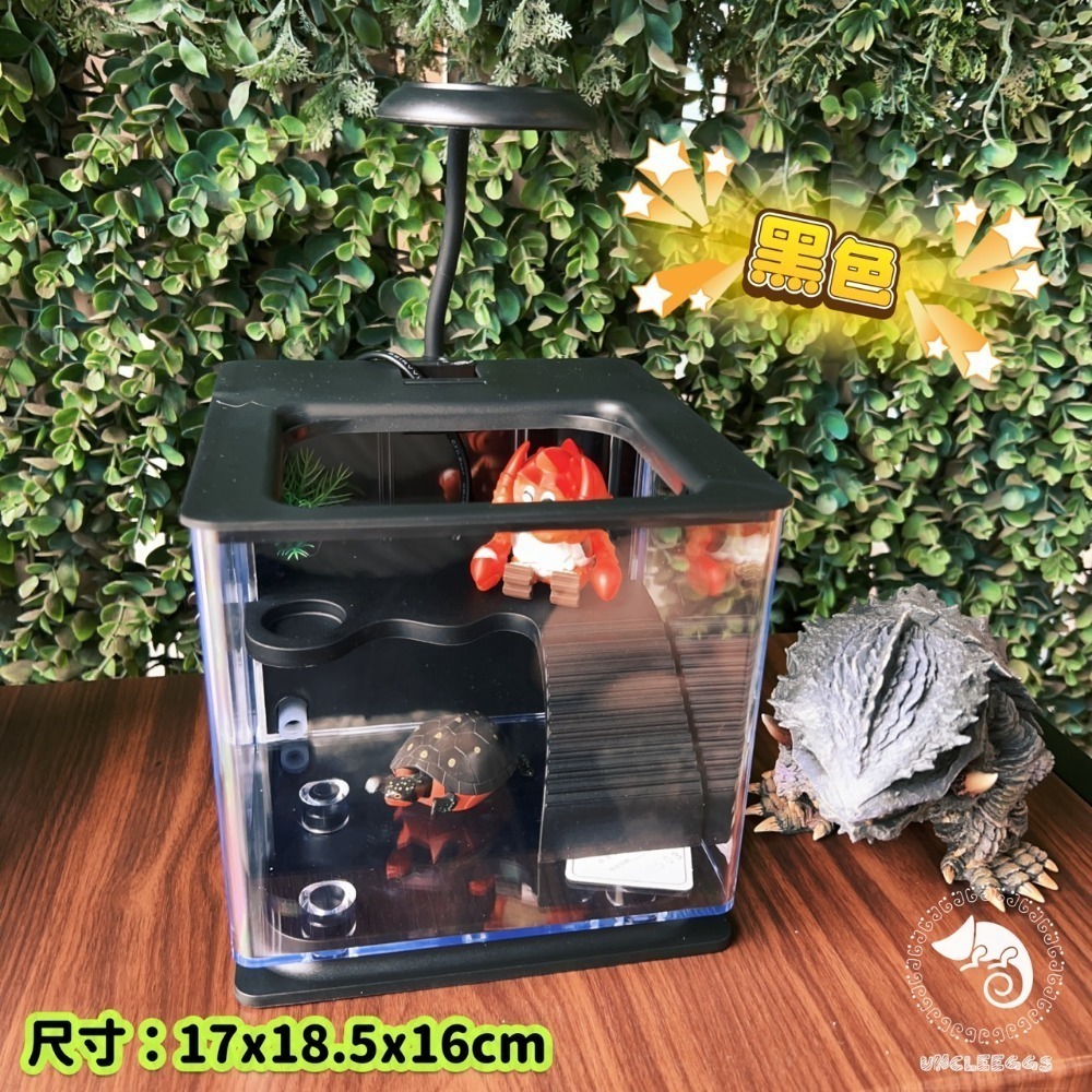 蛋叔叔-小螃蟹-懶人烏龜缸/風水缸/招財缸/擋煞缸/新手缸/角蛙缸/蠑螈缸/兩棲缸/鬥魚缸/螯蝦/蛋龜/幼龜/麝香龜-規格圖2