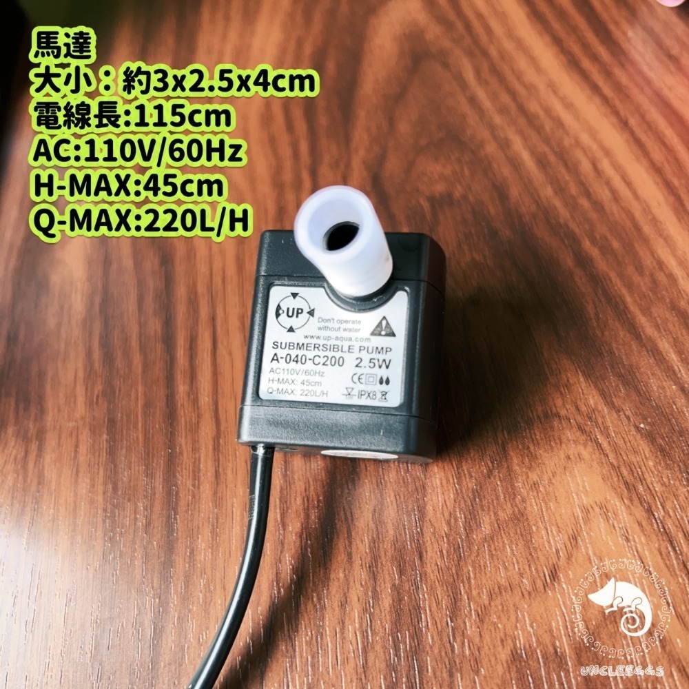 蛋叔叔-小螃蟹-懶人烏龜缸/風水缸/招財缸/擋煞缸/新手缸/角蛙缸/蠑螈缸/兩棲缸/鬥魚缸/螯蝦/蛋龜/幼龜/麝香龜-規格圖11