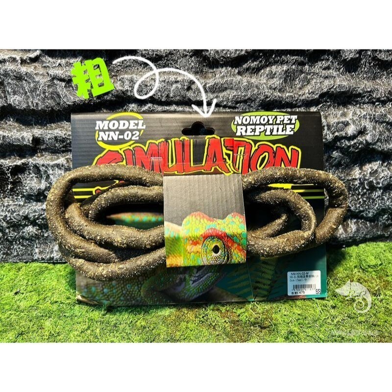 蛋叔叔-RepPark-二代直立式爬蟲箱/樹棲型/樹棲缸/雨林缸/寵物箱/睫角守宮/巨人守宮/馬島守宮/樹蛙/壓克力箱-規格圖10