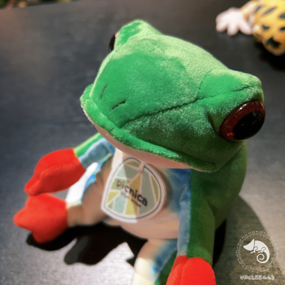 蛋叔叔-Picnica-紅眼樹蛙娃娃/坐鎮娃娃/療育娃娃/樹蛙/青蛙/抱枕/吊飾/掛飾/毛絨玩具/靠枕/靠墊/午睡枕-細節圖2