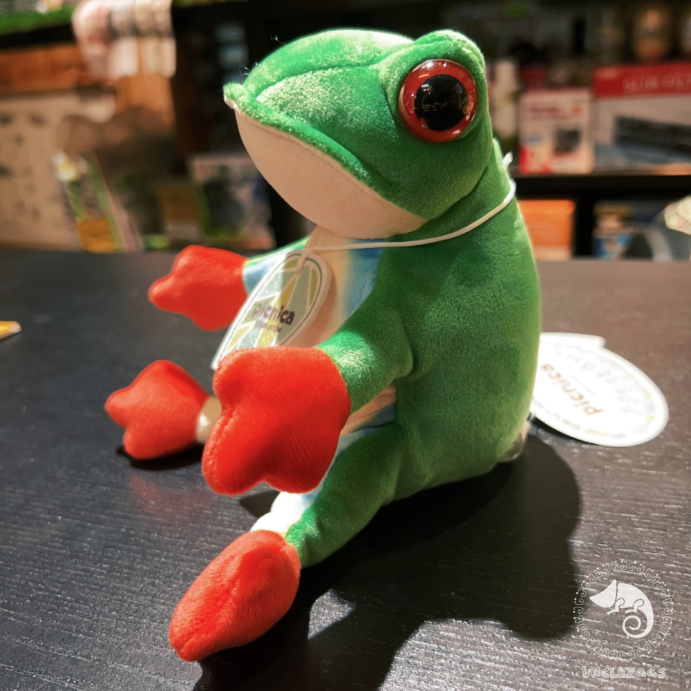 蛋叔叔-Picnica-紅眼樹蛙娃娃/坐鎮娃娃/療育娃娃/樹蛙/青蛙/抱枕/吊飾/掛飾/毛絨玩具/靠枕/靠墊/午睡枕-細節圖3