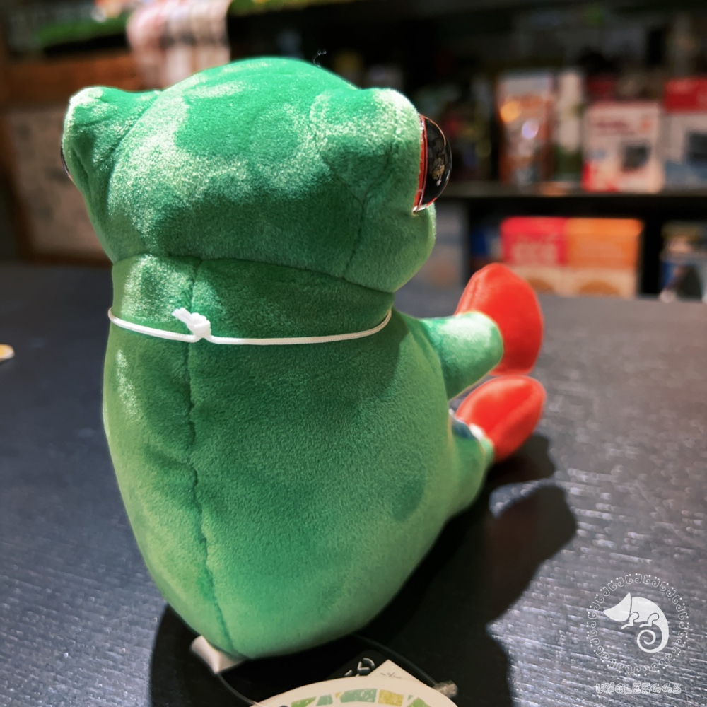 蛋叔叔-Picnica-紅眼樹蛙娃娃/坐鎮娃娃/療育娃娃/樹蛙/青蛙/抱枕/吊飾/掛飾/毛絨玩具/靠枕/靠墊/午睡枕-細節圖5