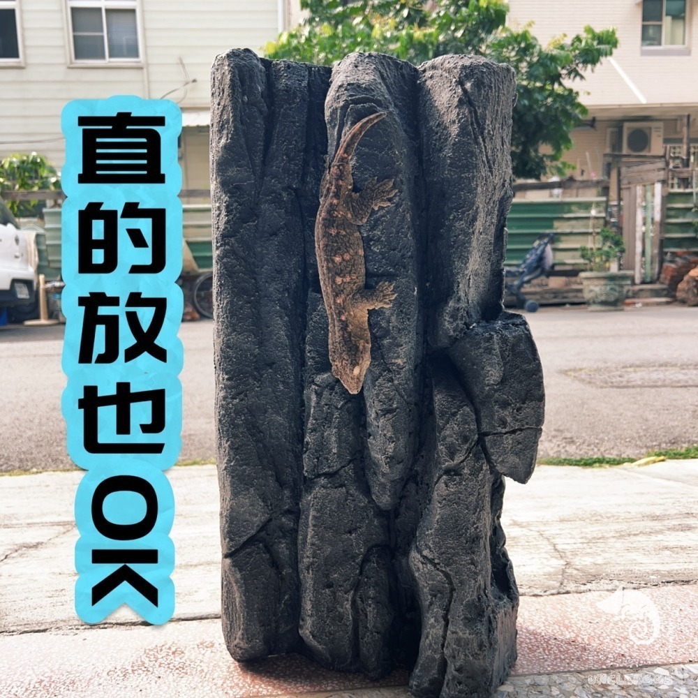蛋叔叔-LD-岩石階梯背景板/3D立體/岩板/背板/造景/3D景/岩石景/背景/保麗龍/雨林缸/沙漠缸/DIY/爬台曬台-細節圖7