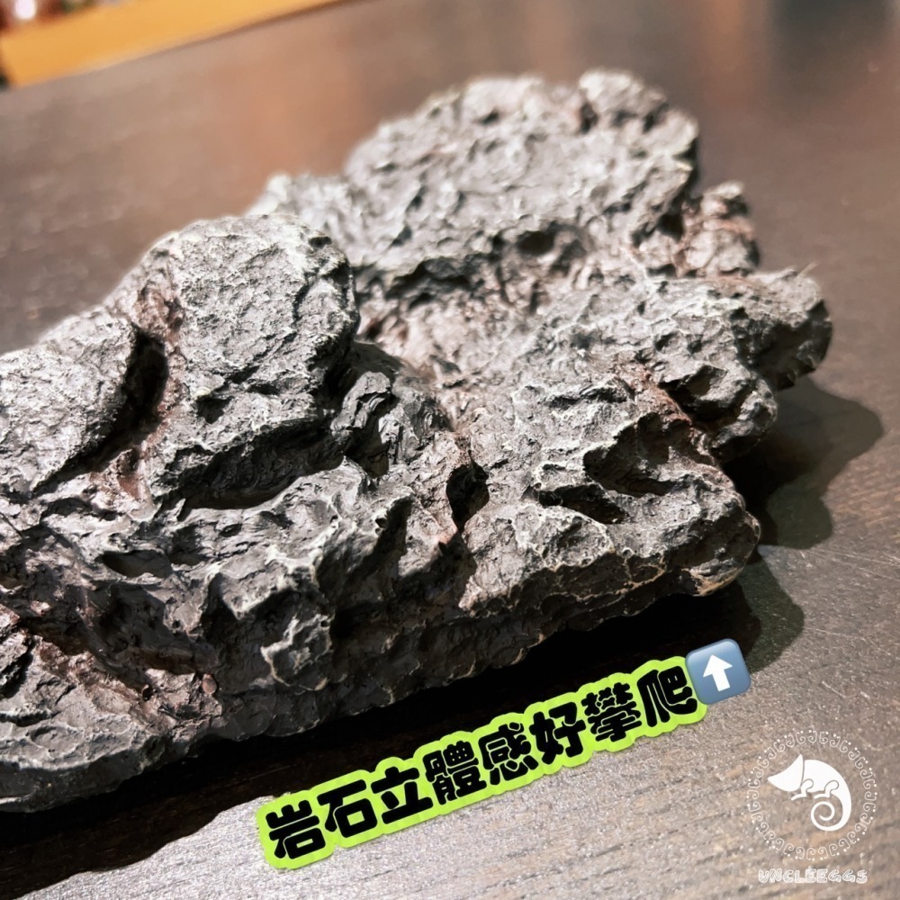 蛋叔叔-EGG-二合一果泥曬台/磁吸式/浮台/爬台/曬台/水盆/食盆/烏龜島/水皿/紅眼樹蛙/餵食盆/巨人守宮-細節圖7