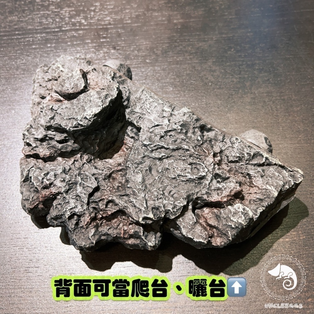 蛋叔叔-EGG-二合一果泥曬台/磁吸式/浮台/爬台/曬台/水盆/食盆/烏龜島/水皿/紅眼樹蛙/餵食盆/巨人守宮-細節圖8