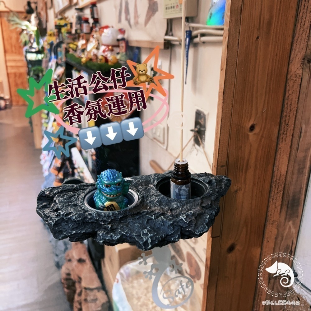 蛋叔叔-EGG-二合一果泥曬台/磁吸式/浮台/爬台/曬台/水盆/食盆/烏龜島/水皿/紅眼樹蛙/餵食盆/巨人守宮-細節圖9