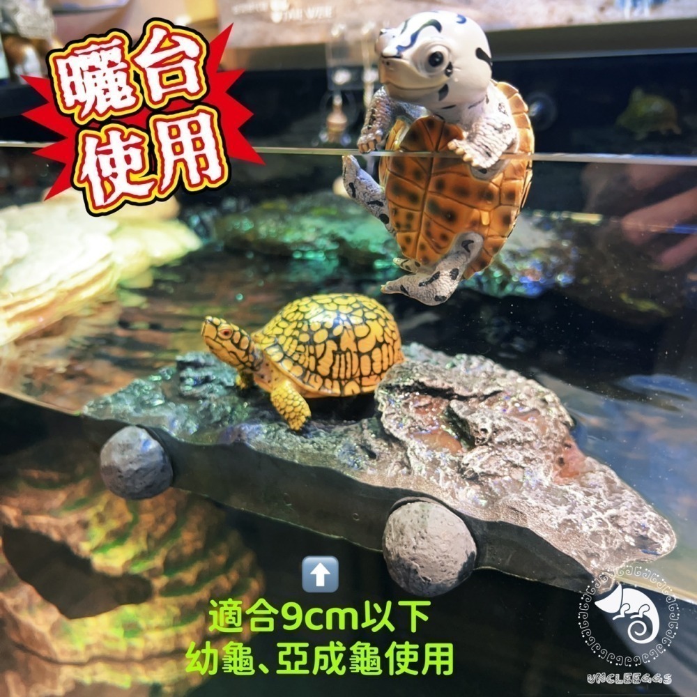 蛋叔叔-EGG-二合一果泥曬台/磁吸式/浮台/爬台/曬台/水盆/食盆/烏龜島/水皿/紅眼樹蛙/餵食盆/巨人守宮-細節圖10