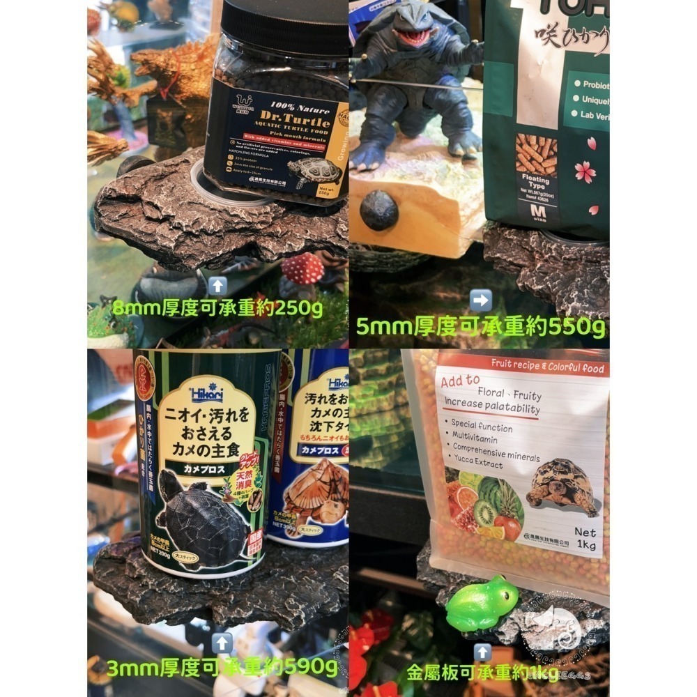 蛋叔叔-EGG-二合一果泥曬台/磁吸式/浮台/爬台/曬台/水盆/食盆/烏龜島/水皿/紅眼樹蛙/餵食盆/巨人守宮-細節圖11