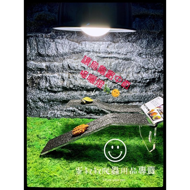 蛋叔叔-REPTIZOO烏龜浮台/烏龜島/浮島/曬台/壓克力/巴西龜/長尾龜/鑽紋龜/地圖龜/壓克力/跳台/樹蛙/睫角-細節圖4