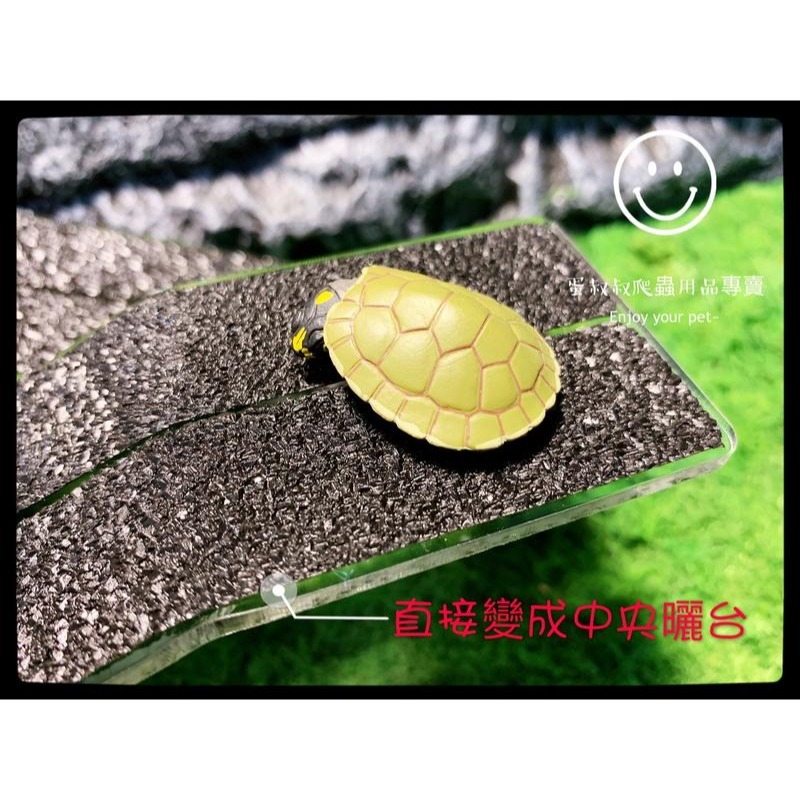蛋叔叔-REPTIZOO烏龜浮台/烏龜島/浮島/曬台/壓克力/巴西龜/長尾龜/鑽紋龜/地圖龜/壓克力/跳台/樹蛙/睫角-細節圖5