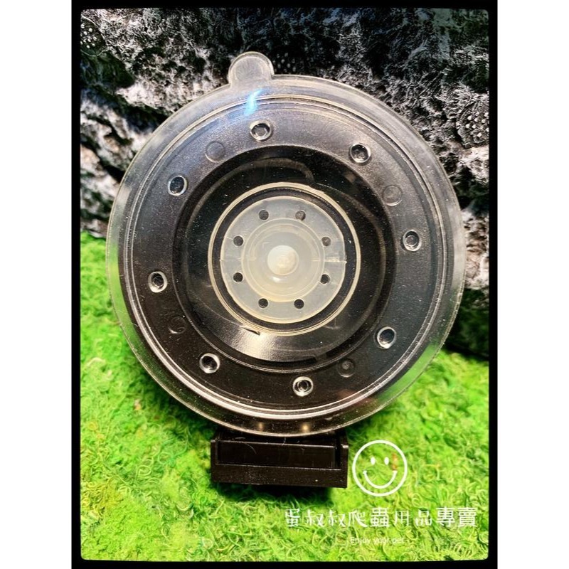 蛋叔叔-REPTIZOO烏龜浮台/烏龜島/浮島/曬台/壓克力/巴西龜/長尾龜/鑽紋龜/地圖龜/壓克力/跳台/樹蛙/睫角-細節圖7