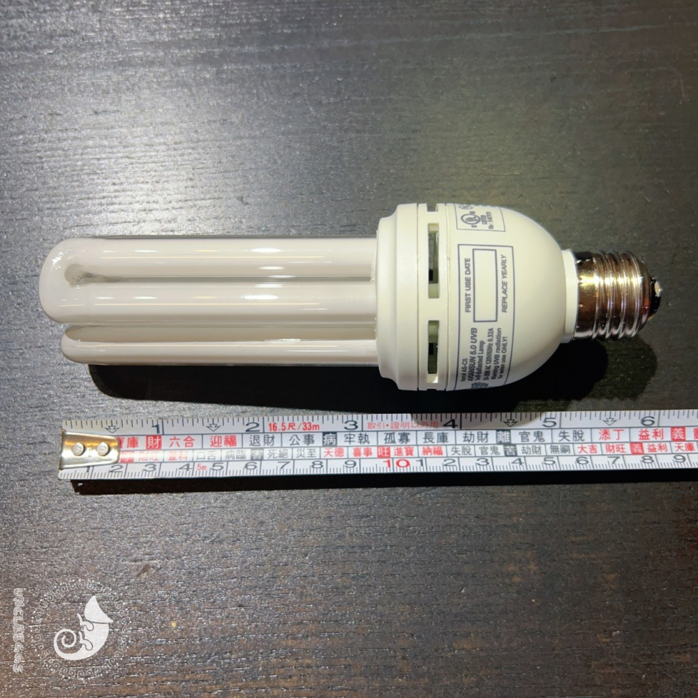 蛋叔叔-Zoomed鳥用UVB 5.0節能燈/紫外線燈/補鈣/鸚鵡/寵物鳥/虎皮鸚鵡/巴丹/玄鳳/金剛鸚鵡/補鈣燈-細節圖3