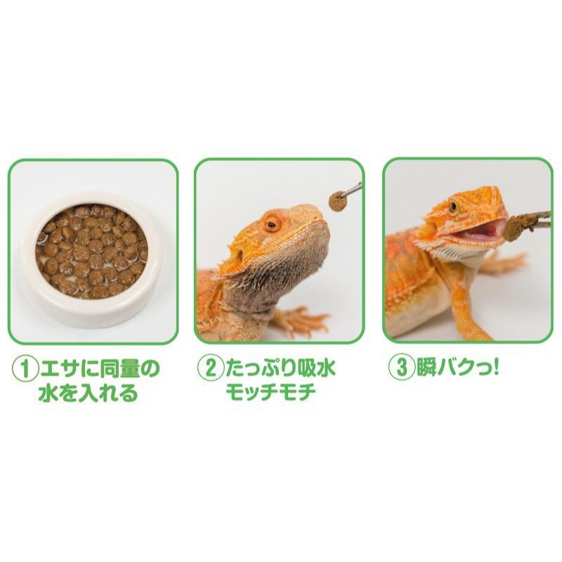 蛋叔叔-Hikari-高夠力食蟲動物顆粒飼料雜食性(成體)/鬆獅蜥飼料/成鬆/蜥蜴飼料/藍舌蜥飼料/ZERO/藍舌飼料-細節圖2