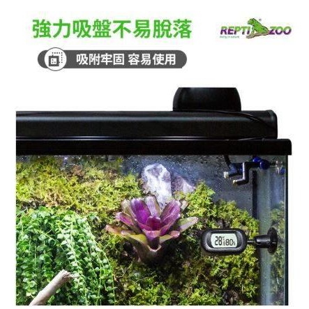 蛋叔叔-REPTIZOO電子溫濕度計-橫式/溫度計/濕度計/檢測/LED/觀測/熱點/冷點/雨林缸/測溫-細節圖5