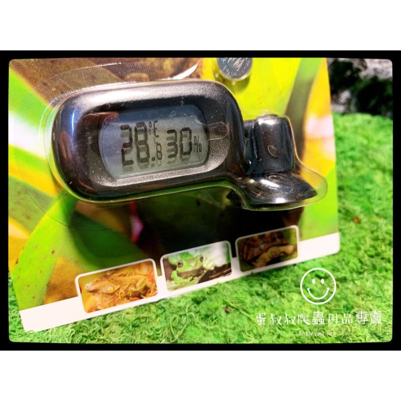 蛋叔叔-REPTIZOO電子溫濕度計-橫式/溫度計/濕度計/檢測/LED/觀測/熱點/冷點/雨林缸/測溫-細節圖6