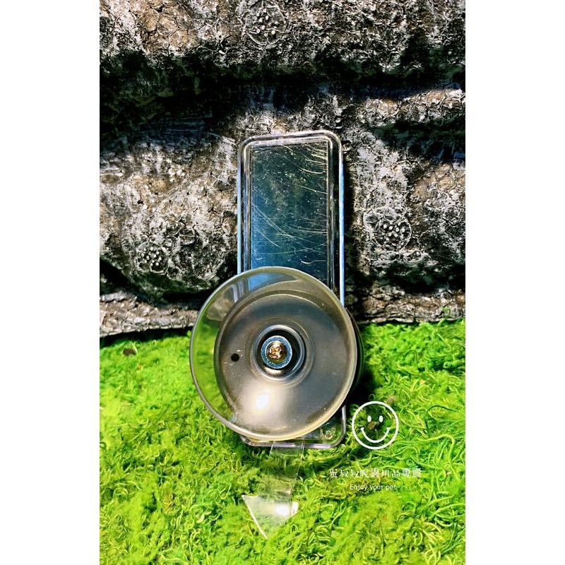 蛋叔叔-NOMO雨林溫度計/直式/溫度計/檢測/LED/紀錄/雨林/變色龍/華氏/攝氏/樹蛙/箭毒蛙/角蛙/陸龜/守宮-細節圖5