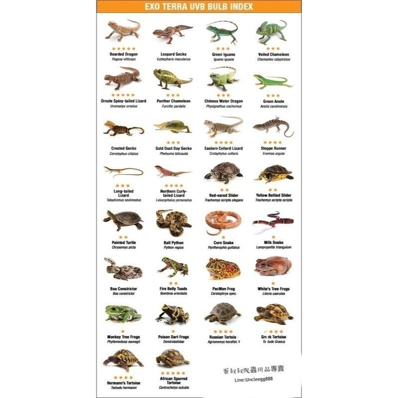蛋叔叔-Zoomed鳥用座地燈+鳥用UVB燈套組/寵物鳥/鸚鵡/太陽/玄鳳/紫外線燈/燈座/曬燈/補鈣/曬太陽-細節圖9