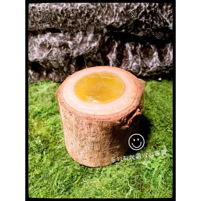 蛋叔叔-IM昆蟲甲蟲果凍/甲蟲飼料/蜜袋鼯/果凍/昆蟲果凍/蜜袋鼯飼料/水果口味/黑蜜口味/大兜蟲/獨角仙飼料/鍬型蟲-規格圖10