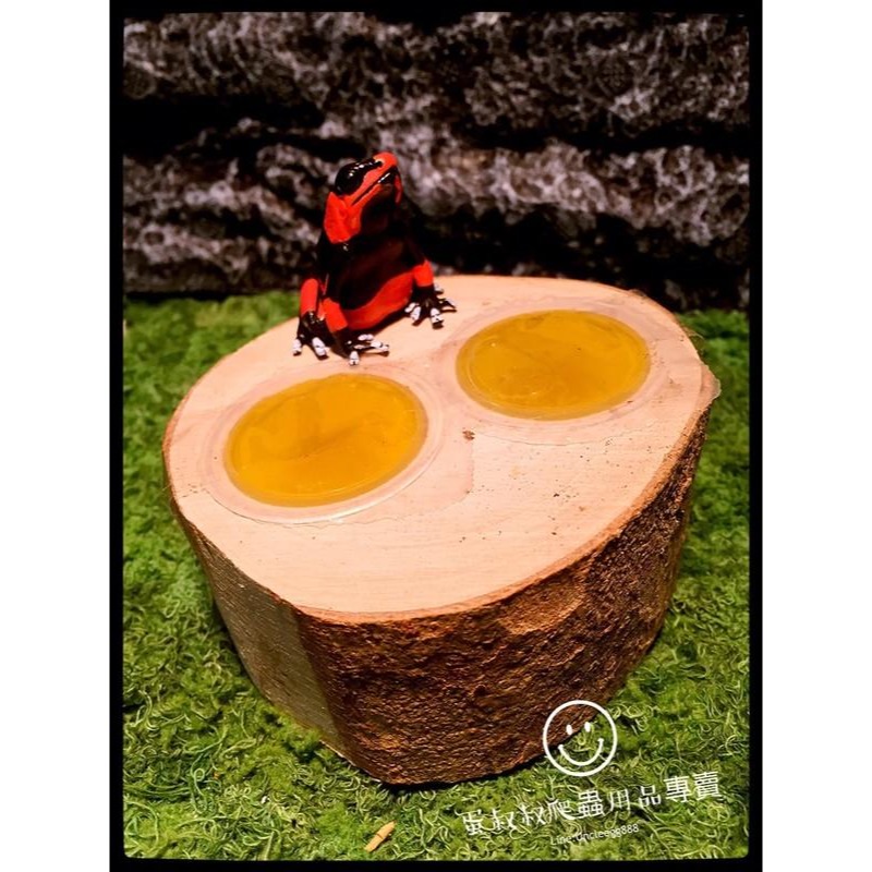 蛋叔叔-IM昆蟲甲蟲果凍/甲蟲飼料/蜜袋鼯/果凍/昆蟲果凍/蜜袋鼯飼料/水果口味/黑蜜口味/大兜蟲/獨角仙飼料/鍬型蟲-規格圖10