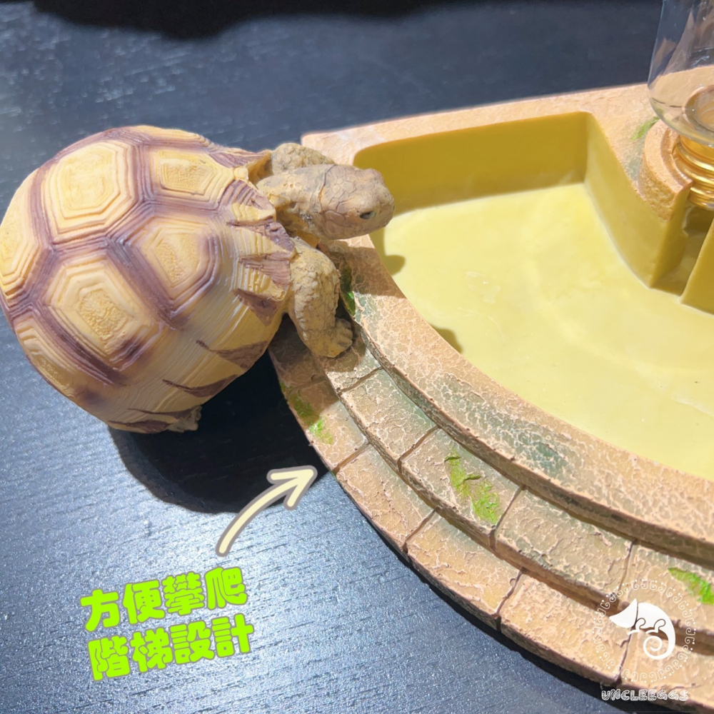 蛋叔叔-LD-飲水岩盤/水盆/水皿/飲水器/水槽/補水器/喝水器/長期飲水/補水/食盤/碗-細節圖3