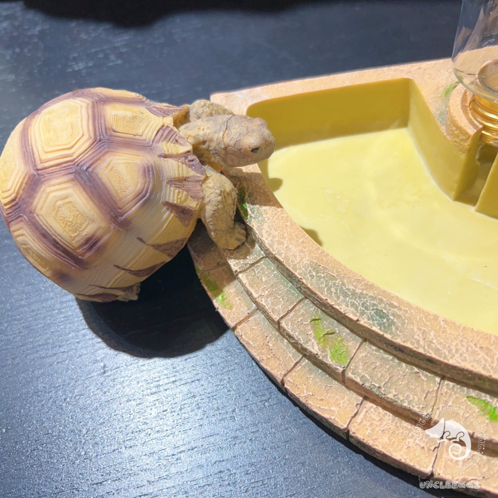 蛋叔叔-LD-飲水岩盤/水盆/水皿/飲水器/水槽/補水器/喝水器/長期飲水/補水/食盤/碗-細節圖8