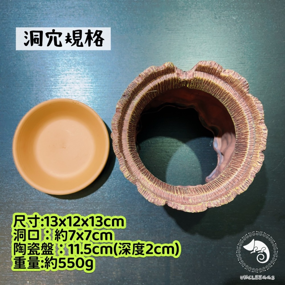 蛋叔叔-LD-加濕樹根躲藏洞/樹幹/樹枝/守宮洞/守宮屋/躲避屋/加濕屋/陶瓷/洞穴/肥尾守宮/豹紋守宮/睫角守宮/角蛙-細節圖2