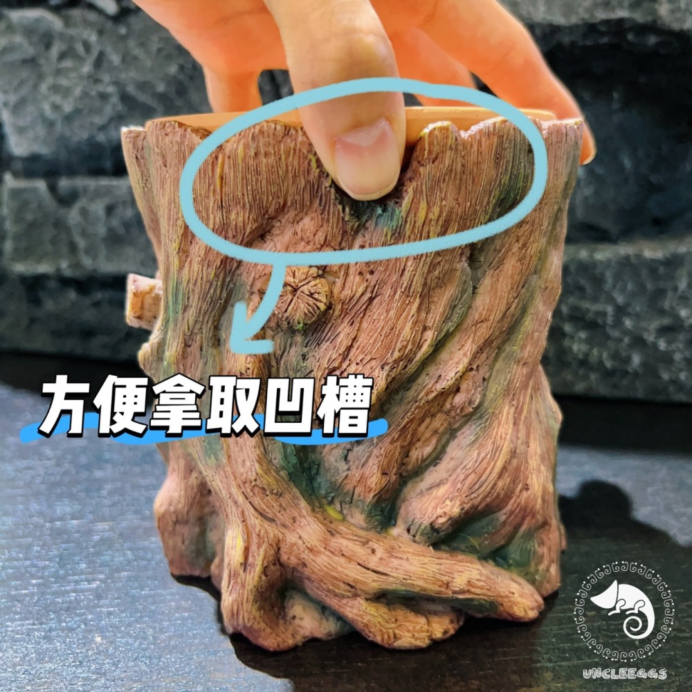 蛋叔叔-LD-加濕樹根躲藏洞/樹幹/樹枝/守宮洞/守宮屋/躲避屋/加濕屋/陶瓷/洞穴/肥尾守宮/豹紋守宮/睫角守宮/角蛙-細節圖4