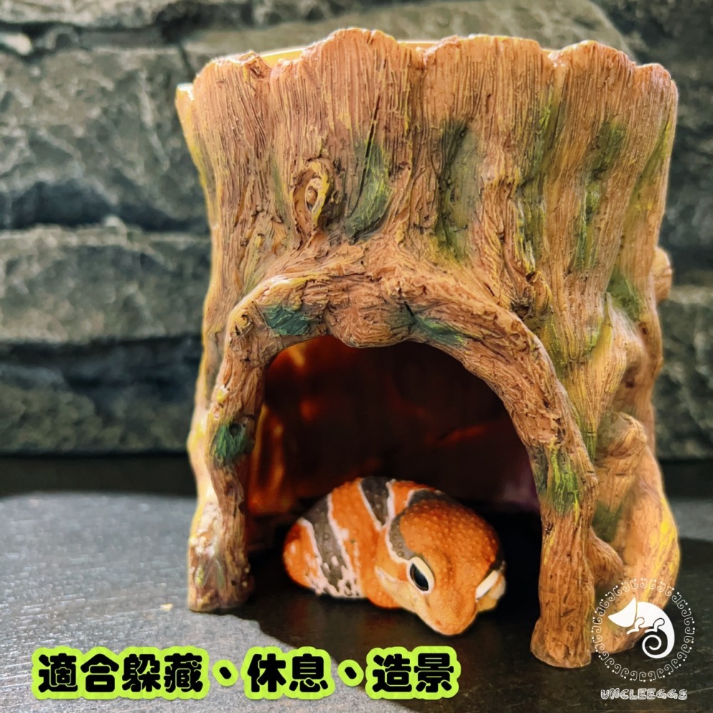 蛋叔叔-LD-加濕樹根躲藏洞/樹幹/樹枝/守宮洞/守宮屋/躲避屋/加濕屋/陶瓷/洞穴/肥尾守宮/豹紋守宮/睫角守宮/角蛙-細節圖6