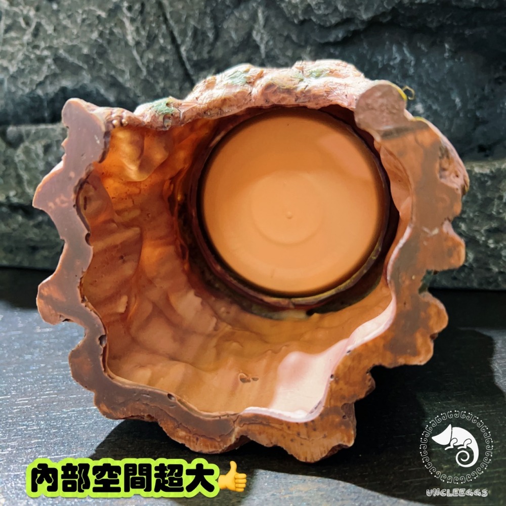 蛋叔叔-LD-加濕樹根躲藏洞/樹幹/樹枝/守宮洞/守宮屋/躲避屋/加濕屋/陶瓷/洞穴/肥尾守宮/豹紋守宮/睫角守宮/角蛙-細節圖7