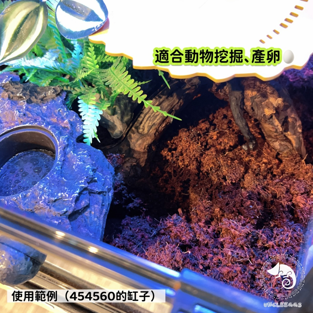 蛋叔叔-利達祥-LD天然椰土/椰子殼/底材/椰纖塊/保濕/椰子墊屑/底材/保濕/雨林缸/木屑/椰子絲/純天然/角蛙/睫角-細節圖3