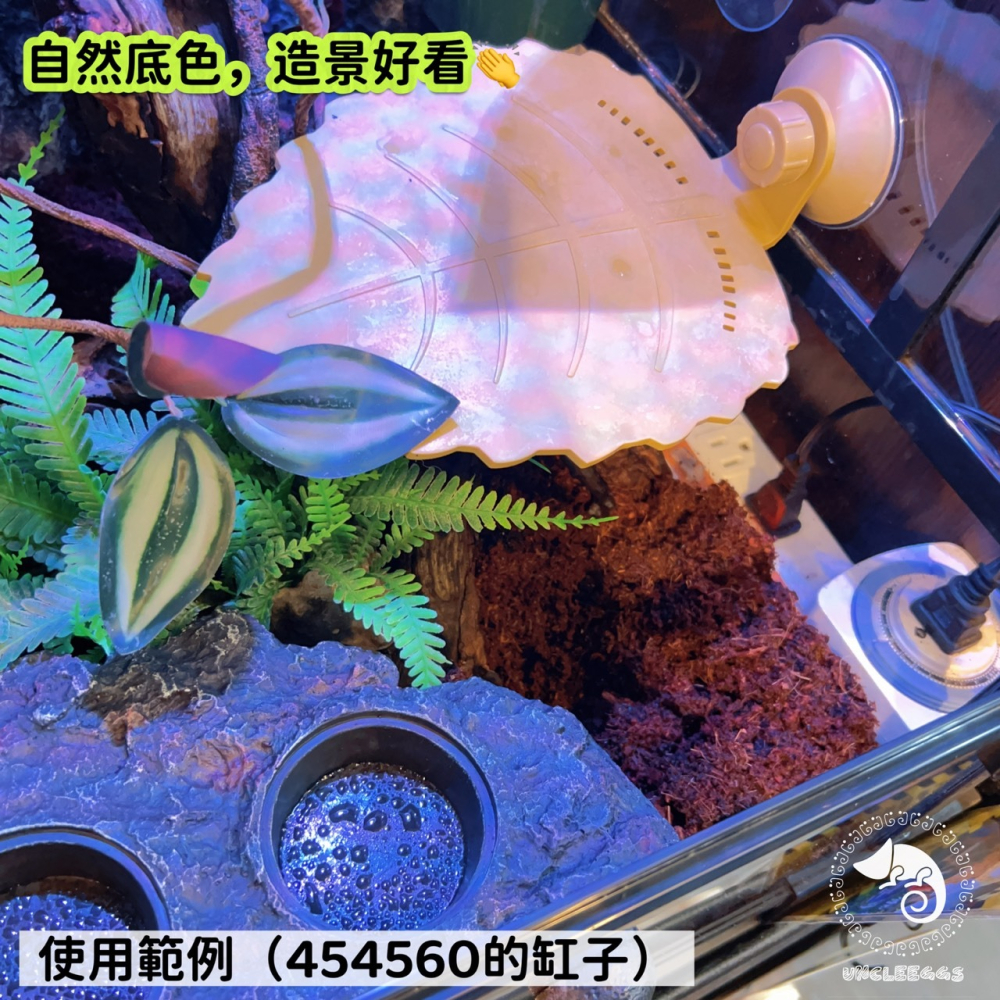 蛋叔叔-利達祥-LD天然椰土/椰子殼/底材/椰纖塊/保濕/椰子墊屑/底材/保濕/雨林缸/木屑/椰子絲/純天然/角蛙/睫角-細節圖4