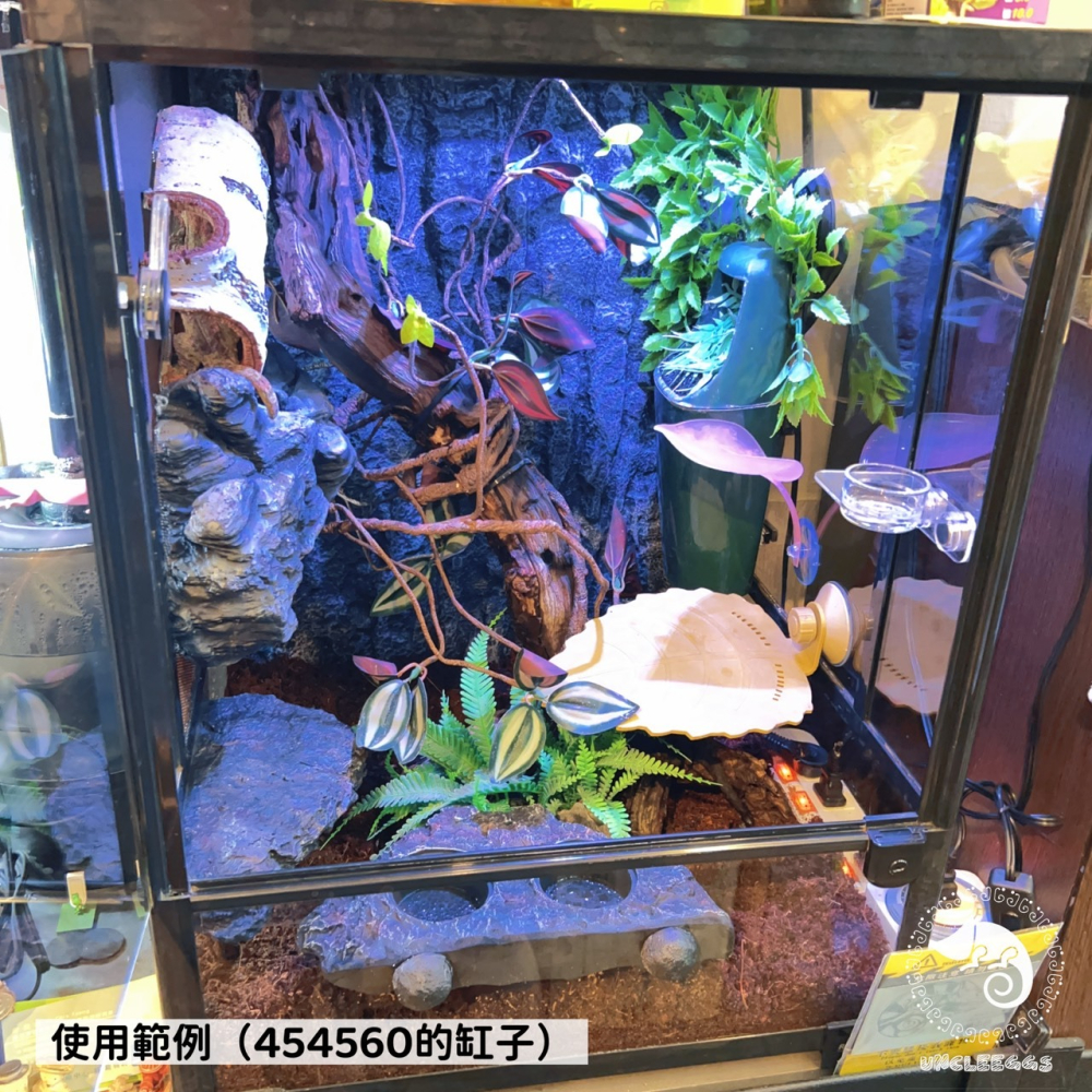 蛋叔叔-利達祥-LD天然椰土/椰子殼/底材/椰纖塊/保濕/椰子墊屑/底材/保濕/雨林缸/木屑/椰子絲/純天然/角蛙/睫角-細節圖5