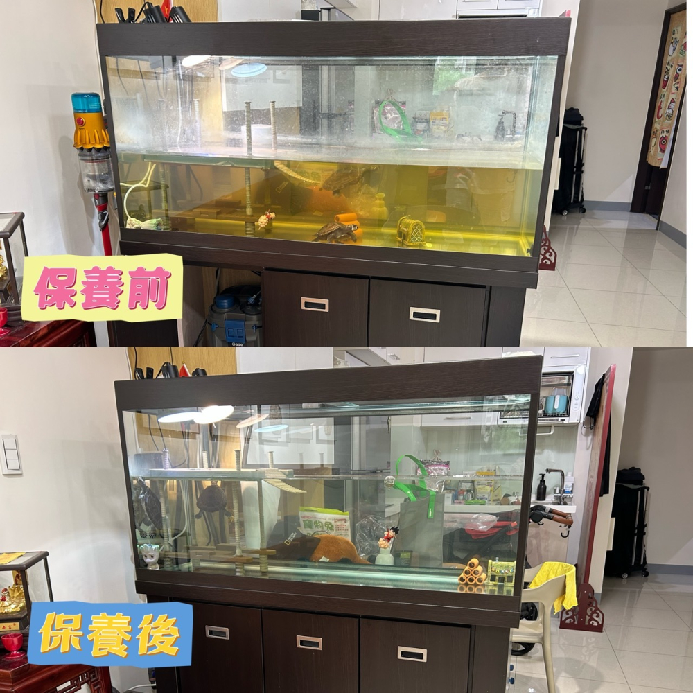蛋叔叔-魚缸保養/魚缸清潔/專業魚缸清潔/整理/保養/高雄地區/魚缸清潔/魚缸保養/魚缸設計/龜缸設計/魚缸換水-細節圖3