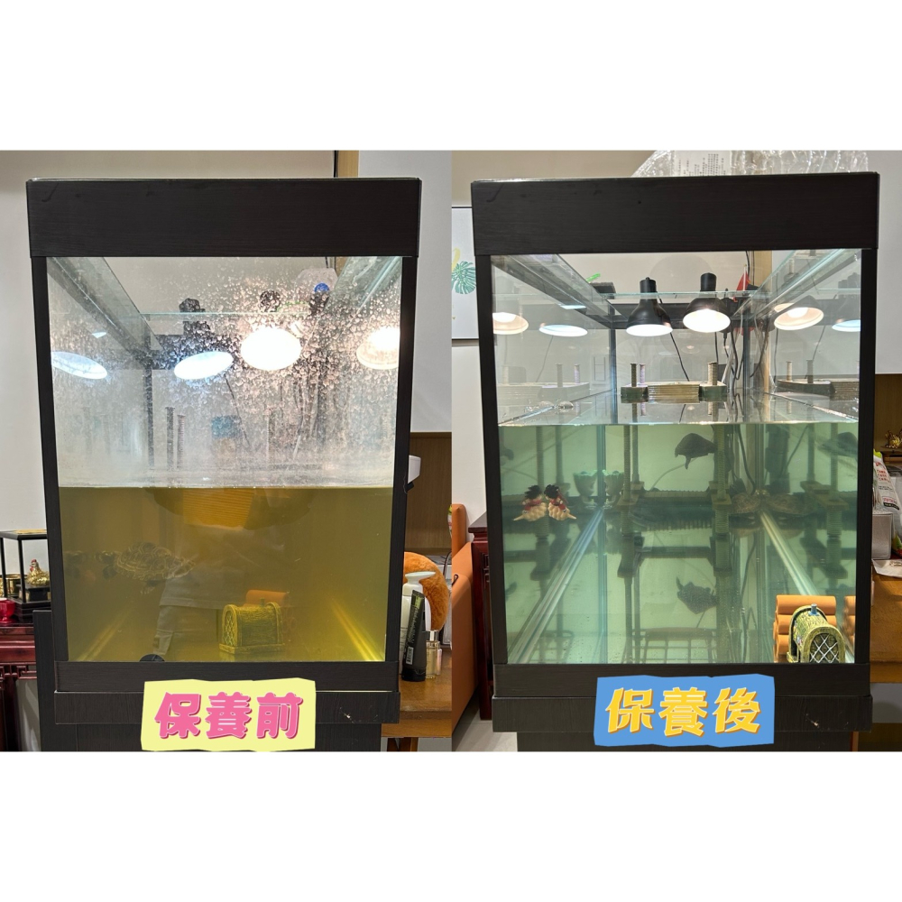 蛋叔叔-魚缸保養/魚缸清潔/專業魚缸清潔/整理/保養/高雄地區/魚缸清潔/魚缸保養/魚缸設計/龜缸設計/魚缸換水-細節圖4