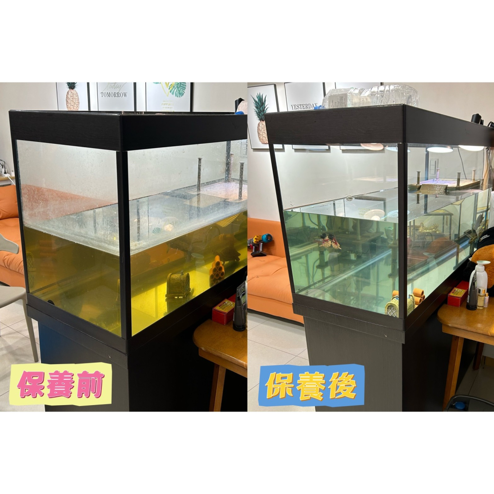 蛋叔叔-魚缸保養/魚缸清潔/專業魚缸清潔/整理/保養/高雄地區/魚缸清潔/魚缸保養/魚缸設計/龜缸設計/魚缸換水-細節圖5
