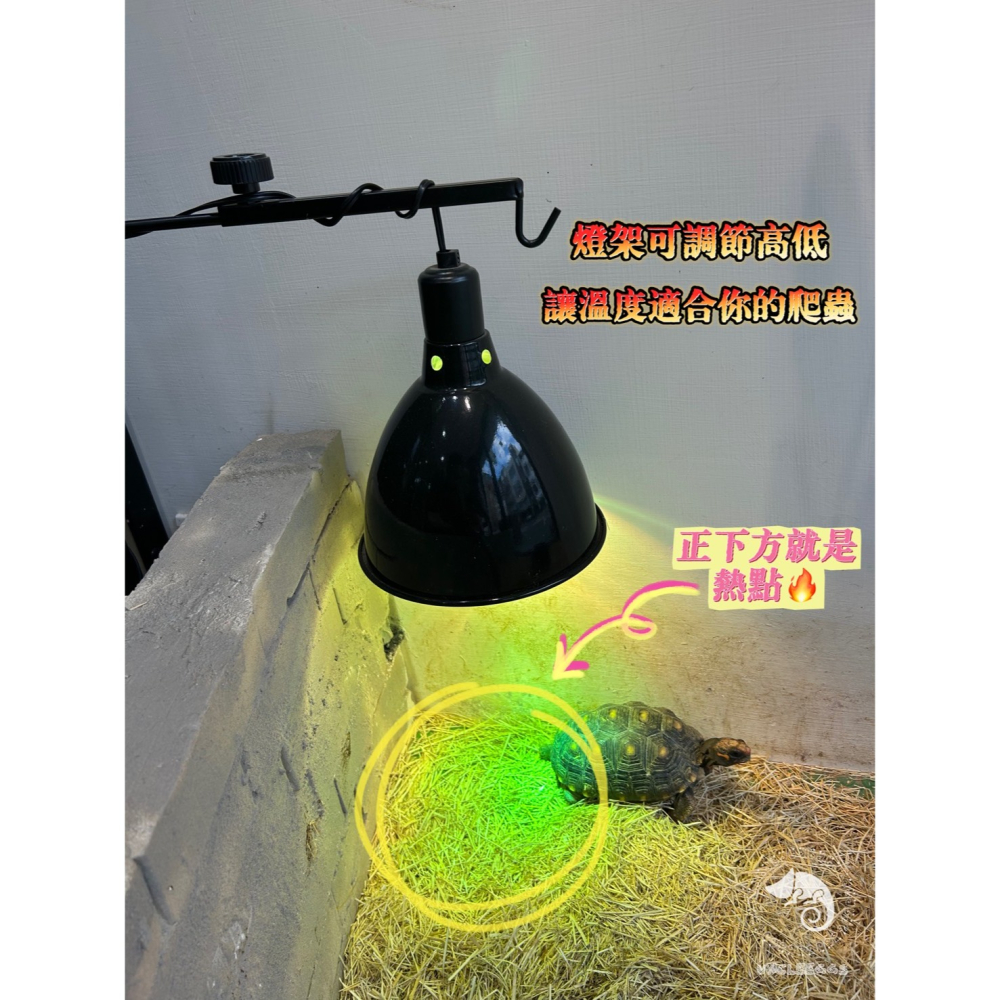 蛋叔叔-Zoomed爬蟲燈架座/吊燈/燈座/燈架/燈具/燈罩/釣具/熱點/設缸/調整燈架-細節圖3