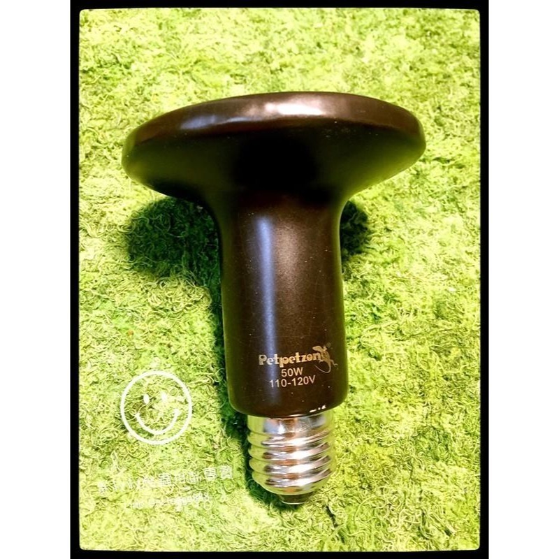 蛋叔叔-PZ陶瓷燈泡/加熱器/紅外線/加溫/加熱燈/加熱器/陶瓷加熱器/紅外線加熱/夜燈/無光線/加溫器/夜間加溫-細節圖2