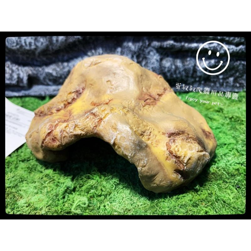 蛋叔叔-REPTIZOO躲藏洞石洞/守宮洞/守宮屋/洞穴/造景/保濕/劍毒蛙/玉米蛇/蠍子/蜘蛛/躲避屋/冷點/睡窩-細節圖4