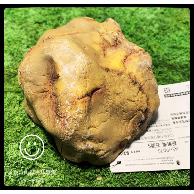 蛋叔叔-REPTIZOO躲藏洞石洞/守宮洞/守宮屋/洞穴/造景/保濕/劍毒蛙/玉米蛇/蠍子/蜘蛛/躲避屋/冷點/睡窩-細節圖5