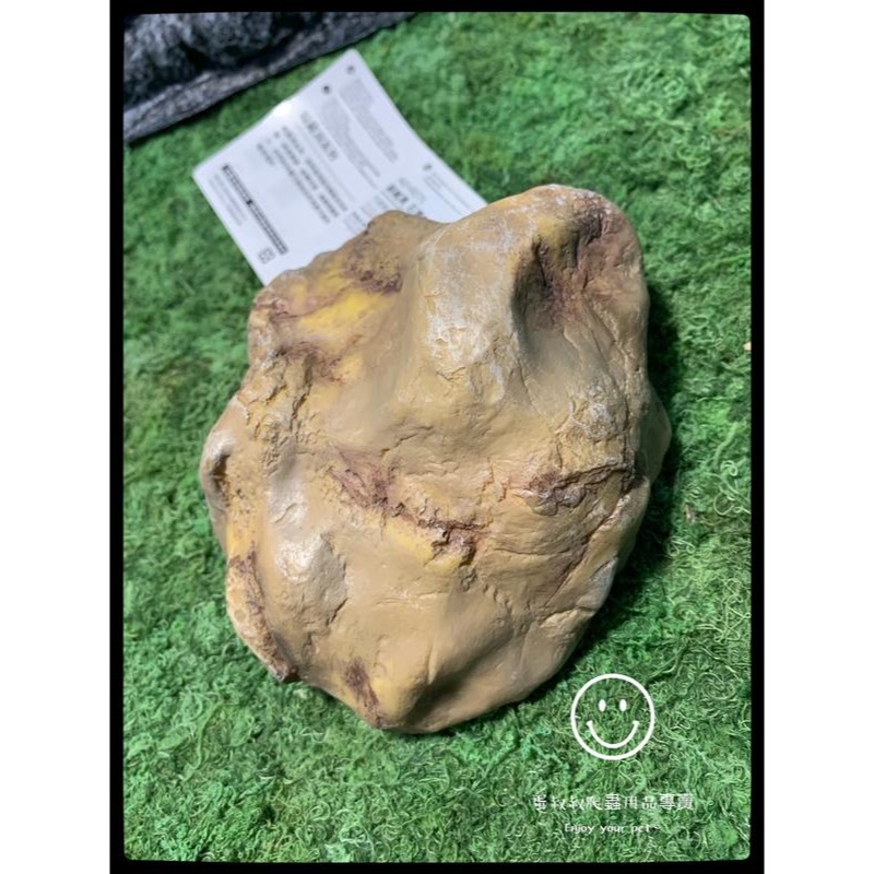 蛋叔叔-REPTIZOO躲藏洞石洞/守宮洞/守宮屋/洞穴/造景/保濕/劍毒蛙/玉米蛇/蠍子/蜘蛛/躲避屋/冷點/睡窩-細節圖6