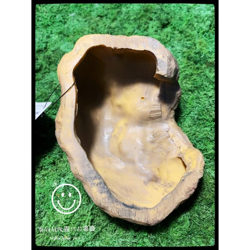 蛋叔叔-REPTIZOO躲藏洞石洞/守宮洞/守宮屋/洞穴/造景/保濕/劍毒蛙/玉米蛇/蠍子/蜘蛛/躲避屋/冷點/睡窩-細節圖7