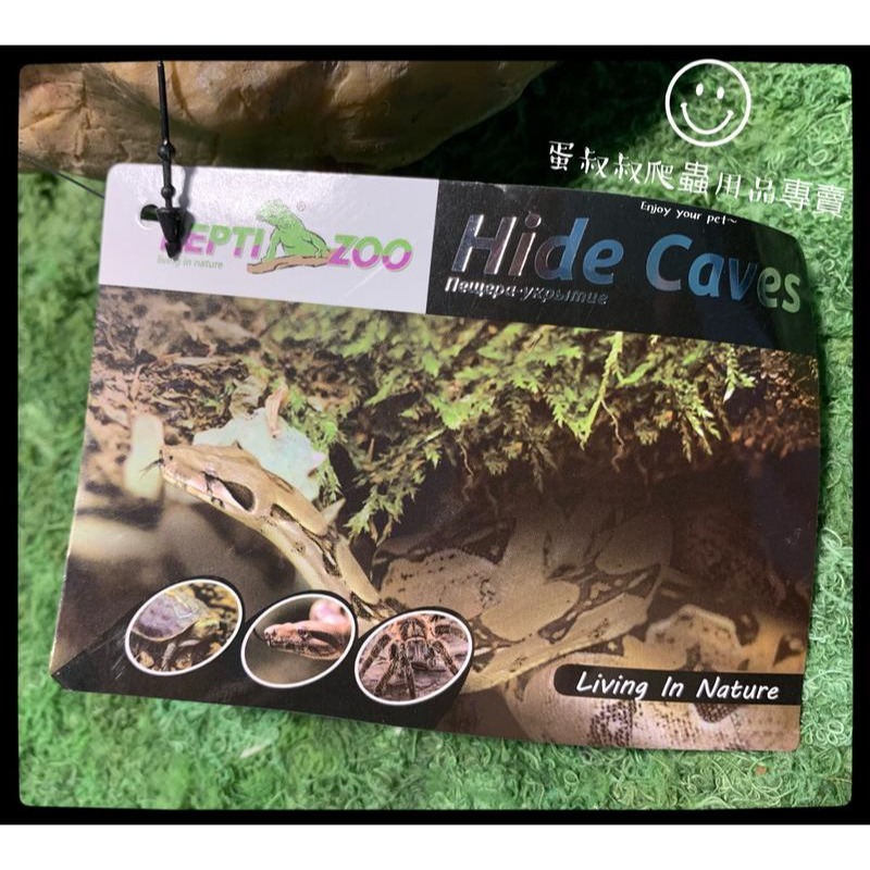 蛋叔叔-REPTIZOO躲藏洞石洞/守宮洞/守宮屋/洞穴/造景/保濕/劍毒蛙/玉米蛇/蠍子/蜘蛛/躲避屋/冷點/睡窩-細節圖8